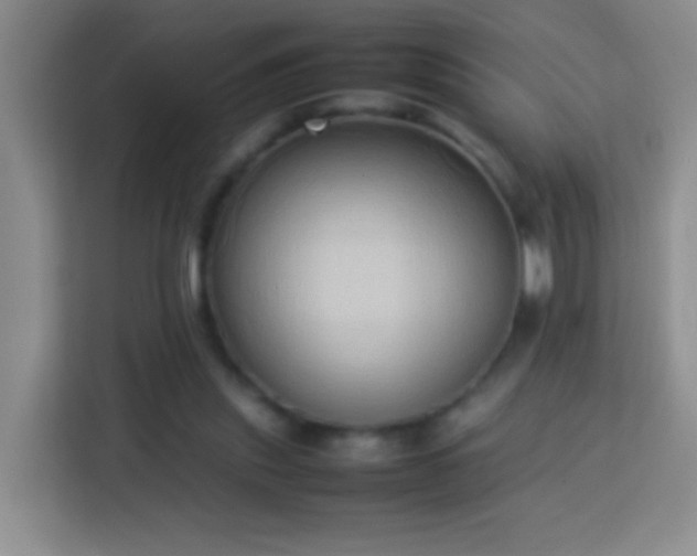 X0000114060253200910051222