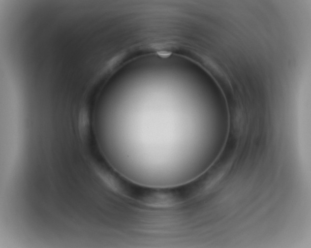 X0000114060260200910051222