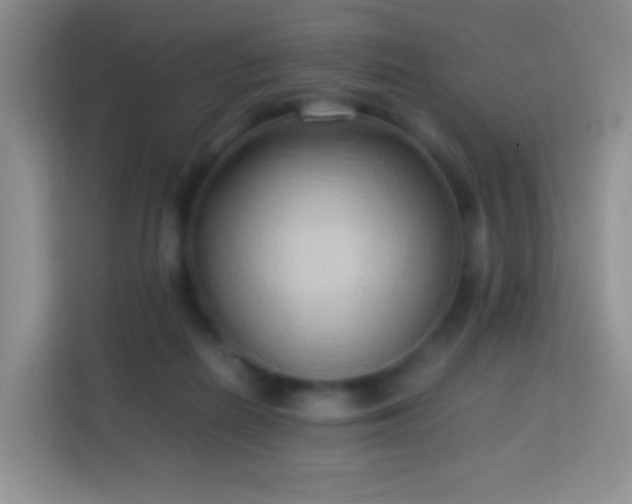 X0000114060266200910051222