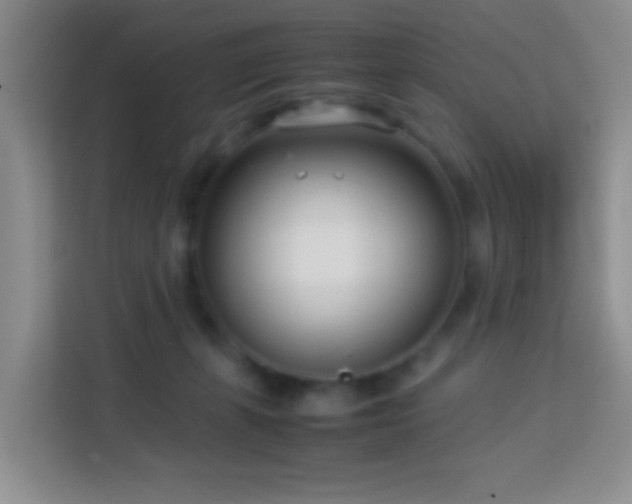 X0000114060271200910051222