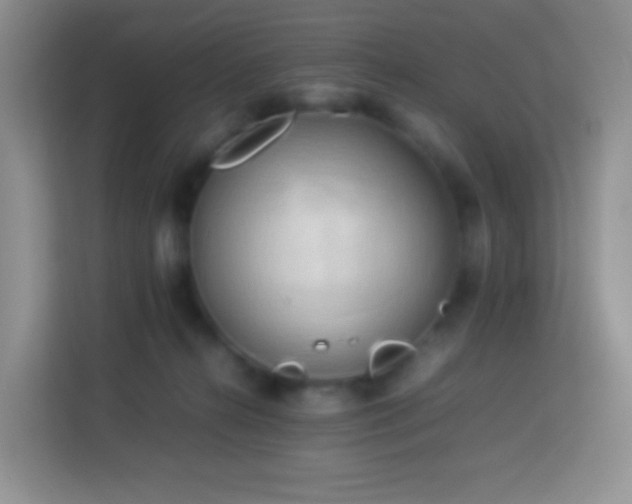 X0000114060272200910051222