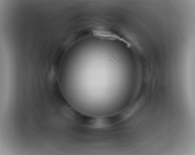 X0000114060273200910051222