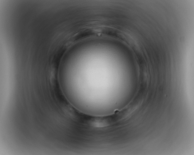 X0000114060275200910051222