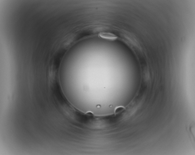 X0000114060276200910051222