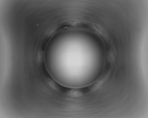 X0000114060280200910051222