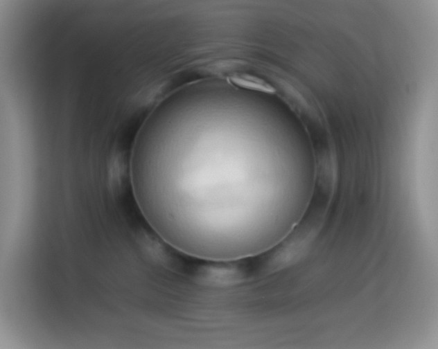 X0000114060284200910051223