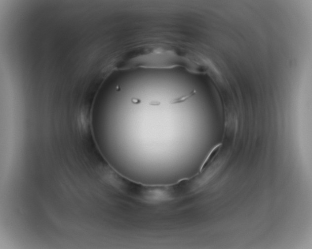 X0000114060285200910051223