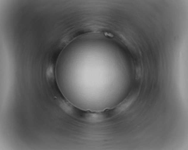 X0000114060286200910051223