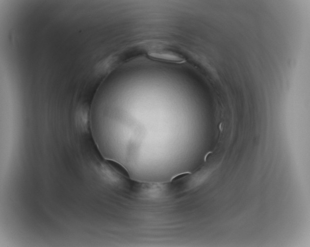 X0000114060288200910051223