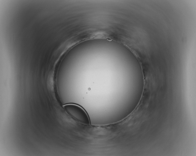 X0000114060290200910051222