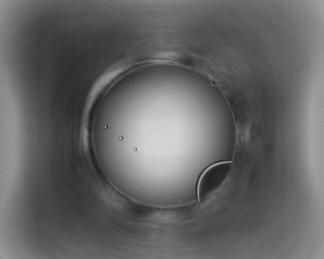 X0000114060294200910051222