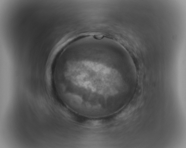 X0000114060295200910051222