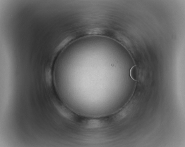 X0000114060298200910051222