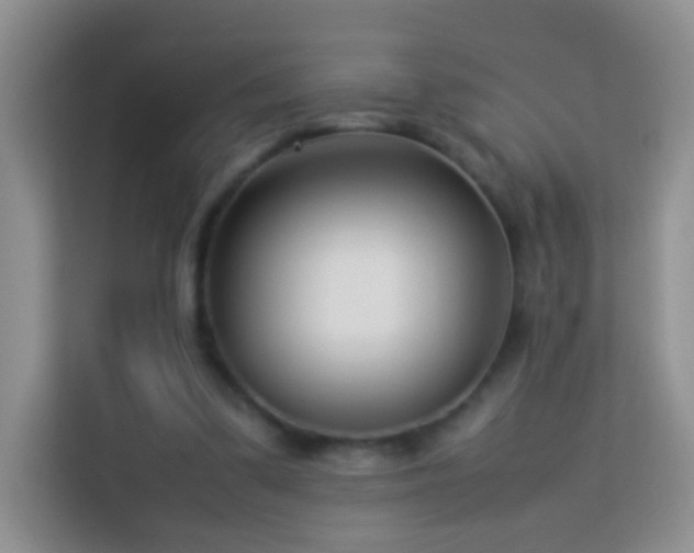 X0000114060299200910051222