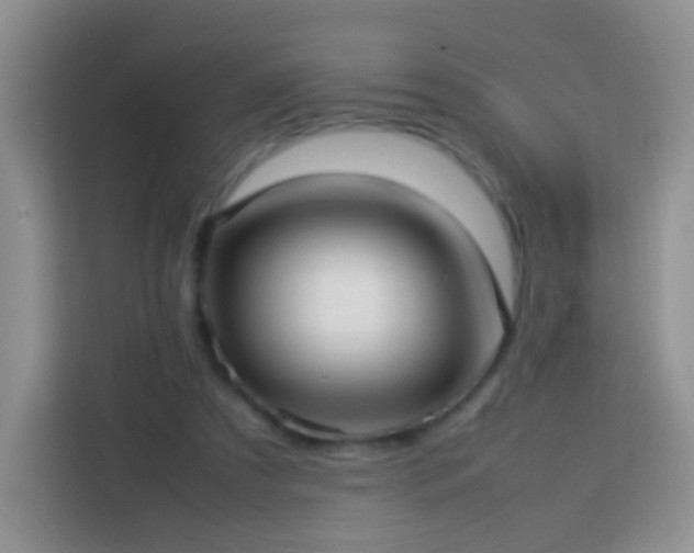 X0000114060305200910051222