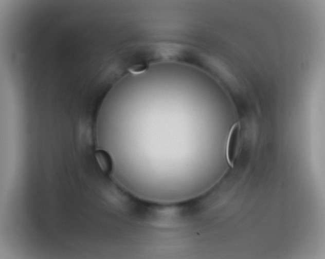 X0000114060313200910051222