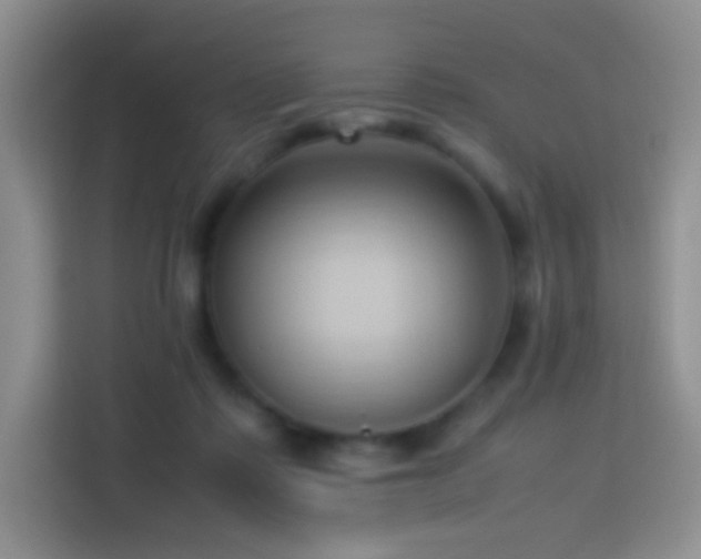 X0000114060315200910051222