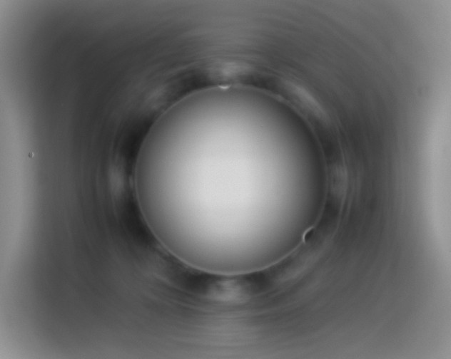 X0000114060324200910051221