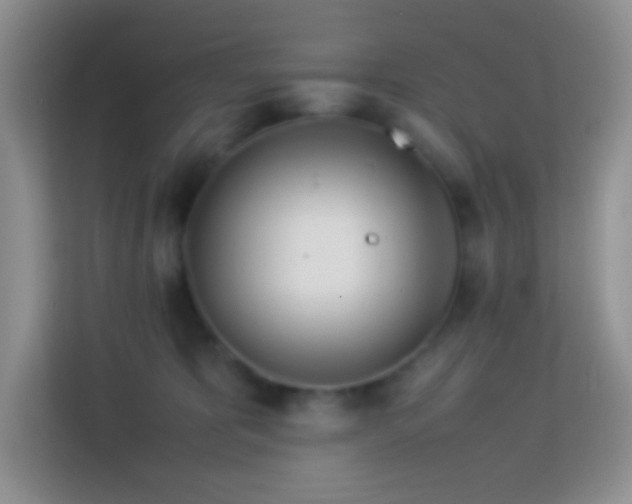 X0000114060325200910051221