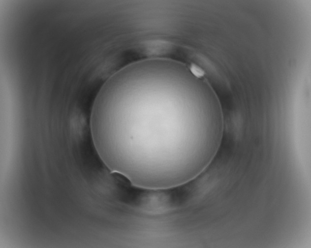 X0000114060327200910051221