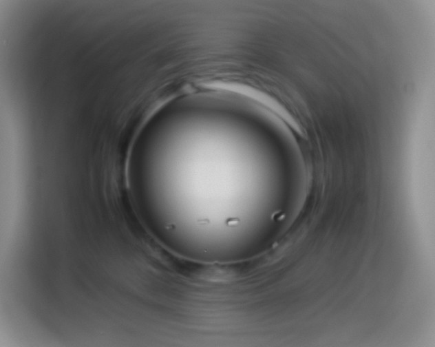 X0000114060328200910051221