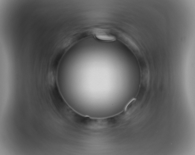 X0000114060329200910051221