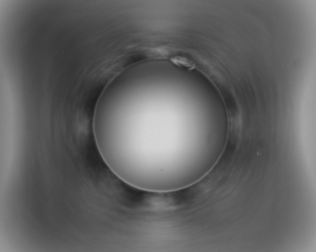 X0000114060331200910051221