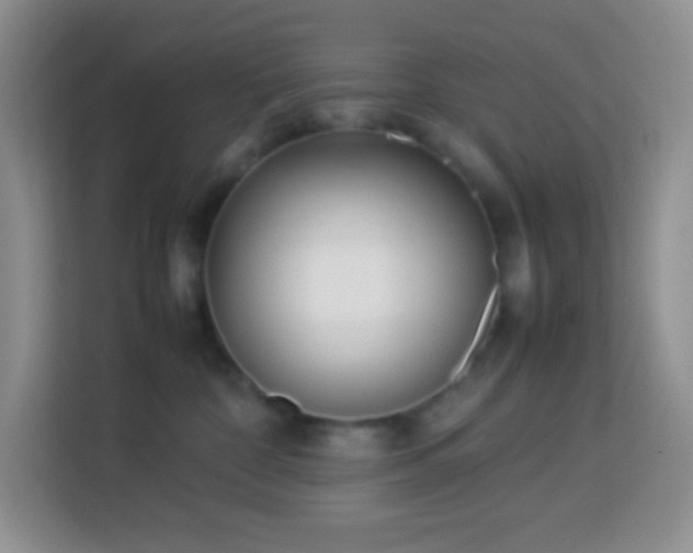 X0000114060332200910051221