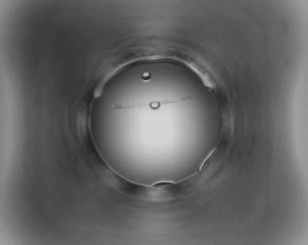 X0000114060333200910051221