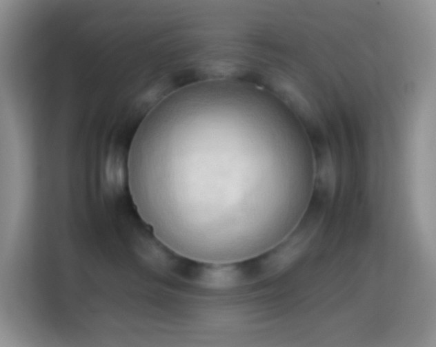 X0000114060334200910051221