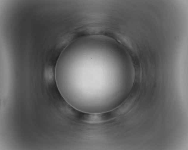 X0000114060335200910051221