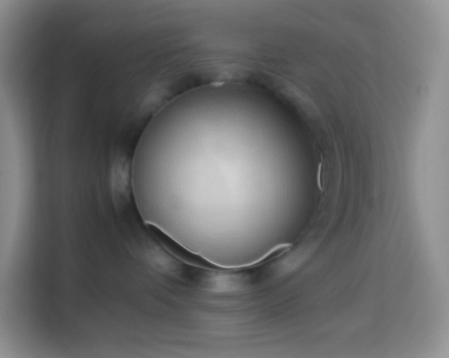 X0000114060336200910051221