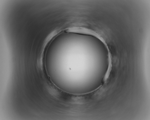 X0000114060340200910051221