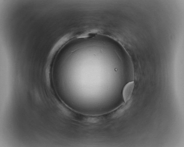 X0000114060341200910051221