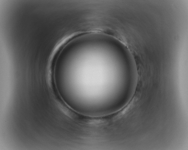 X0000114060342200910051221