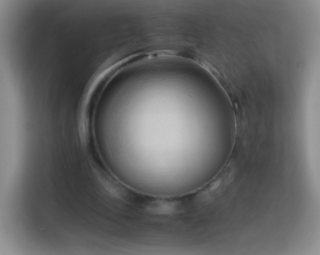 X0000114060343200910051221