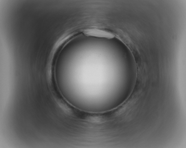 X0000114060344200910051221