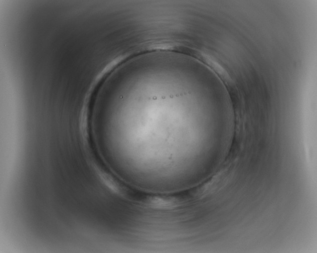 X0000114060346200910051221