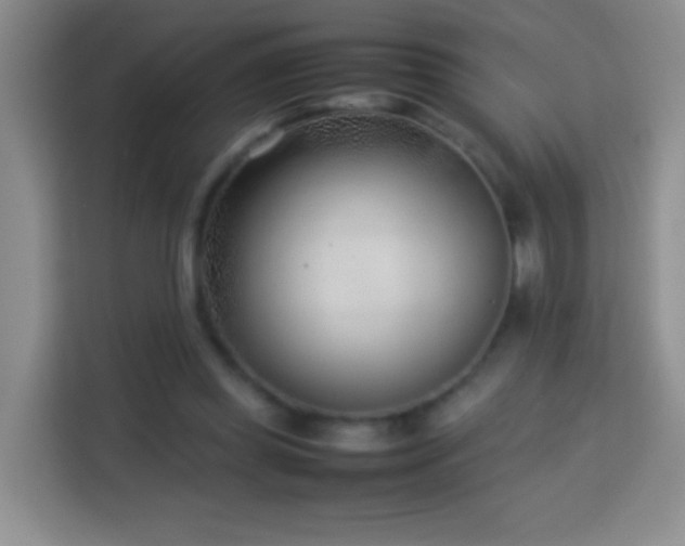 X0000114060349200910051221