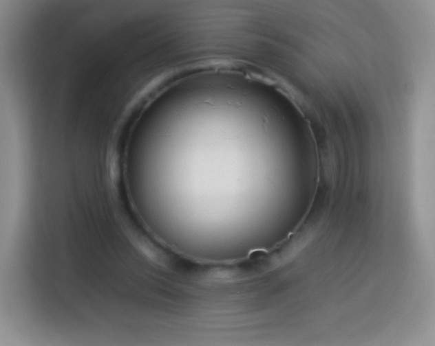 X0000114060350200910051221