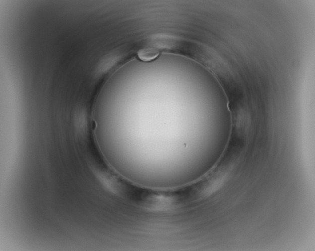 X0000114060352200910051221