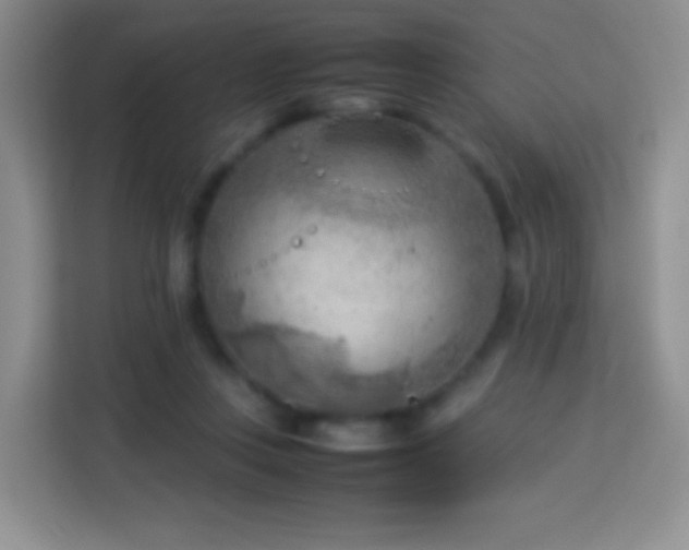 X0000114060359200910051221