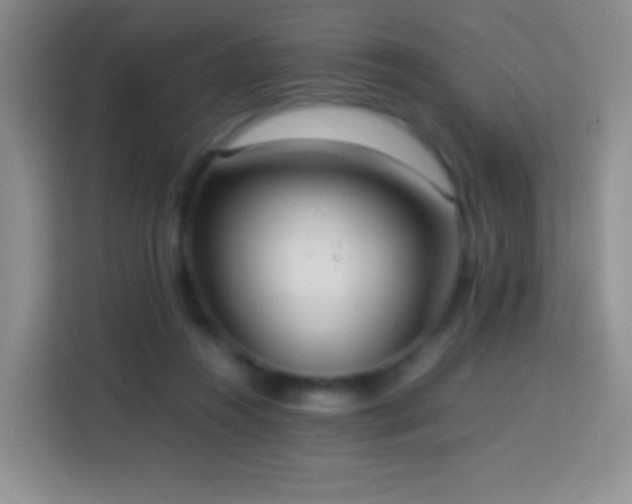 X0000114060360200910051221