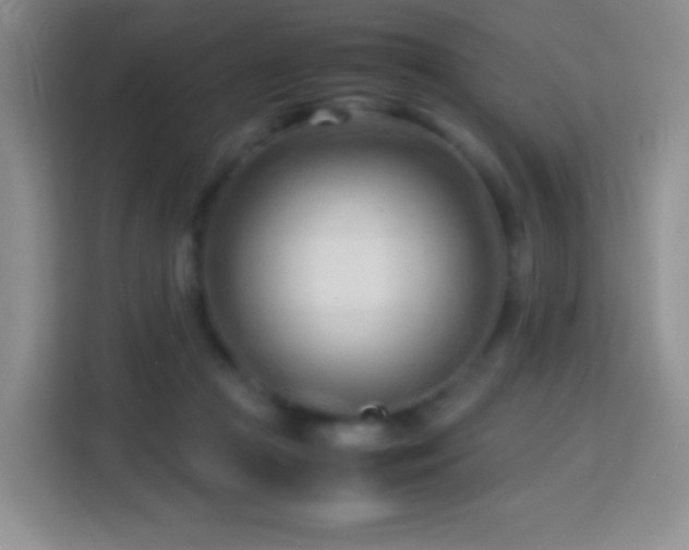 X0000114060361200910051221