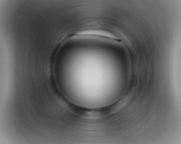 X0000114060362200910051221