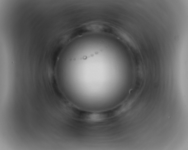 X0000114060371200910051221