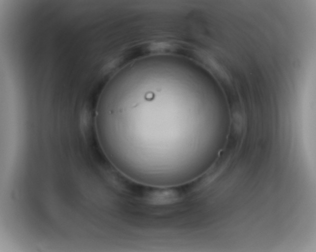 X0000114060375200910051221