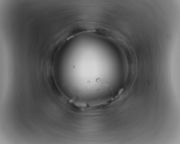 X0000114060376200910051221