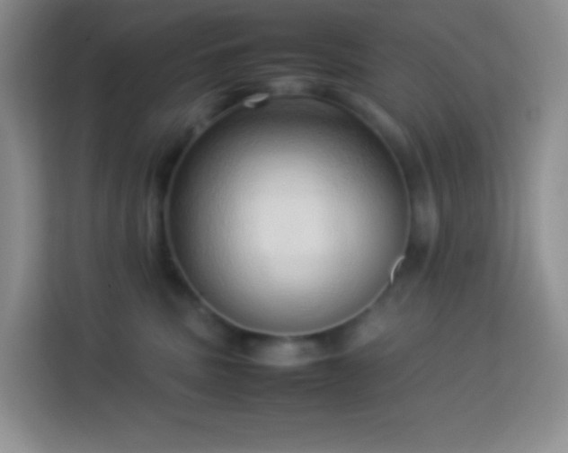 X0000114060379200910051221