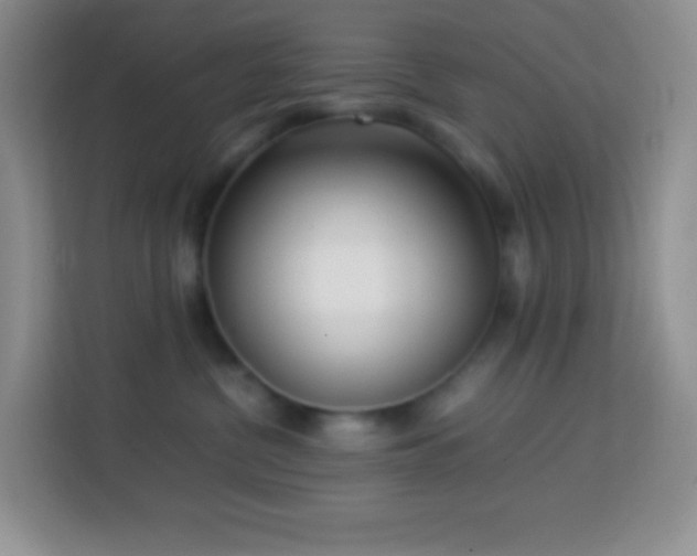 X0000114060380200910051221